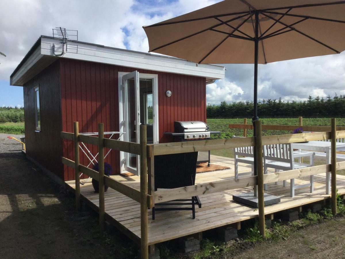Feriehytten Honsehuset Villa Løkken Kültér fotó